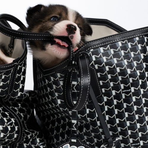 Moynet The Hobo Bag – MOYNAT PARIS