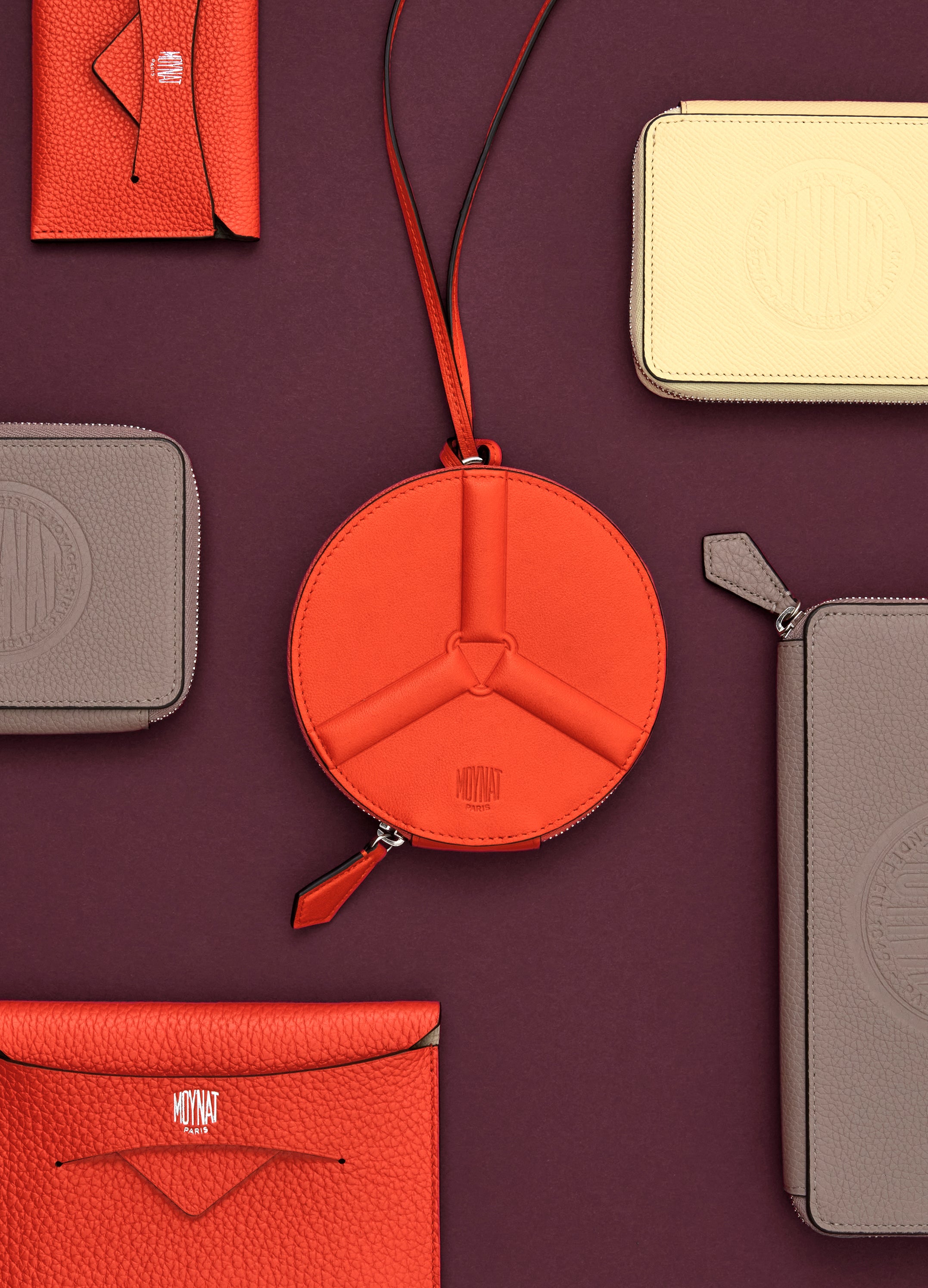 Leather Small Leather Goods – MOYNAT PARIS